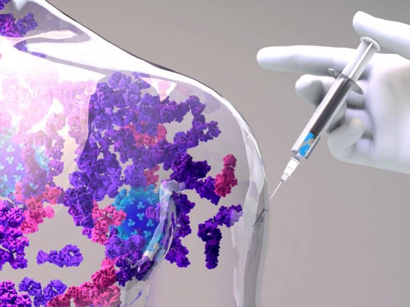 Liệu pháp hạt nano giúp tăng cường hiệu quả của liệu pháp miễn dịch trong điều trị ung thư