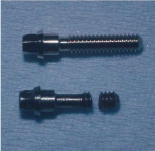 Vit bên dưới là vít của abutment Branemark bị gãy đã được lấy ra, so sánh với vít nguyên bên trên