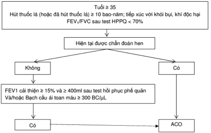 Bệnh phổi tắc nghẽn mạn tính: Một số kiểu hình thường gặp