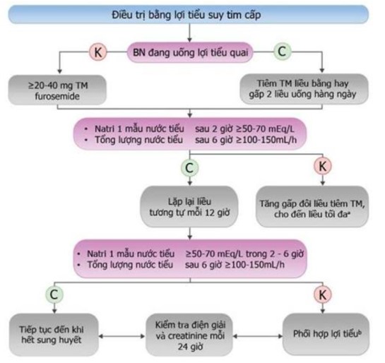 Điều trị bằng lợi tiểu suy tim cấp