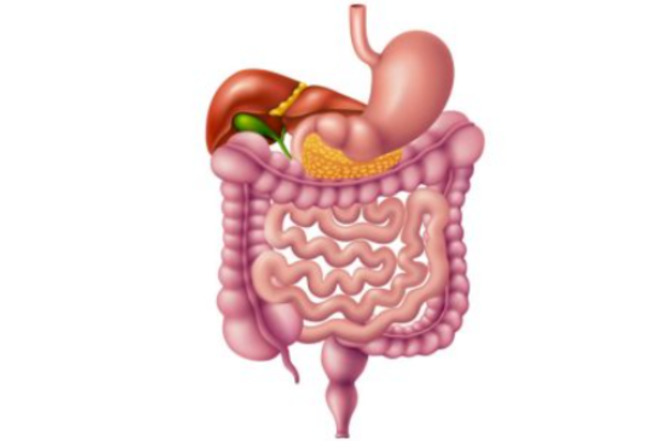 Kỹ thuật NBI được sử dụng để tầm soát sớm ung thư đường tiêu hóa
