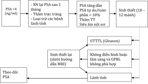 sơ đồ sinh thiết