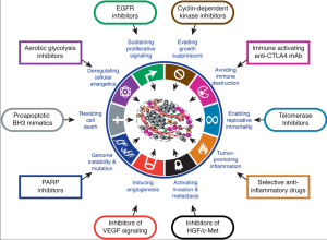 Hallmark of Cancer- Đích tác động của các thuốc điều trị ung thư