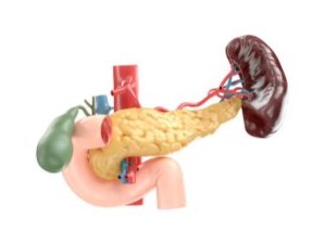 phẫu thuật cắt tá tràng bảo tồn đầu tụy