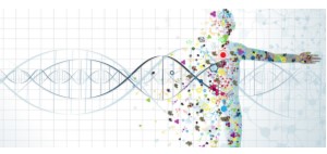 Dược di tuyền học- Bước tiến trong điều trị cá nhân hóa