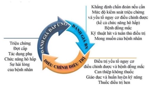 Chu trình xử trí hen dựa trên mức độ kiểm soát