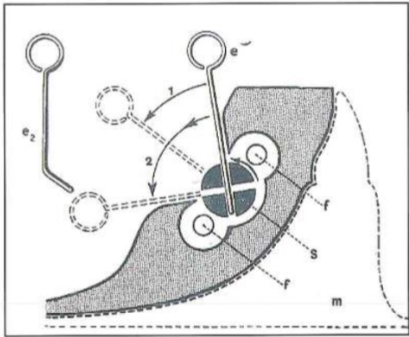 Sơ đồ ốc nới rộng theo chiều trước-sau