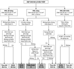 Xử trí hẹp van hai lá hậu thấp