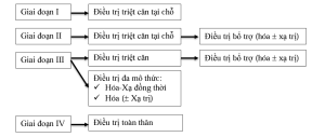 Điều trị ung thư phổi không tế bào nhỏ theo giai đoạn