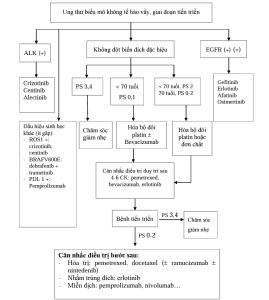 Xử trí ung thư phổi loại không tế bào vẩy giai đoạn tiến triển