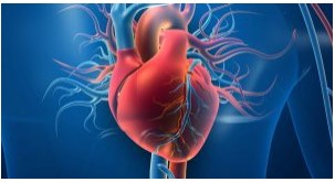 Vai trò của lipid và lipoprotein trong xơ vữa động mạch – ESC 2019