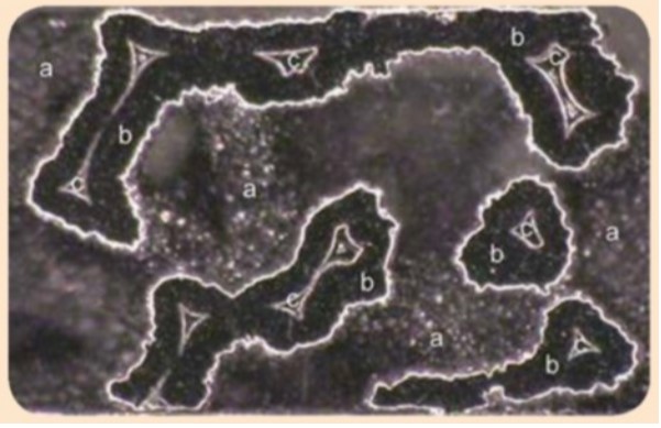 Thiết diện cắt ngang của TM cho thấy lớp Tantalum dày (a) phủ lên lõi carbon thủy tinh (b).
