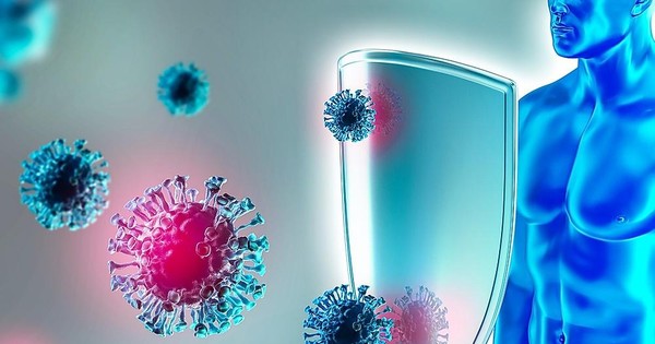 Miễn dịch và vai trò của nó trong cơ thể: Hiểu rõ về hệ thống miễn dịch và cách hoạt động